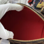 Louis Vuitton Speedy Bandouliere 20 N40489 Brown